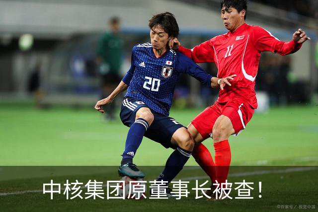 中核集团原董事长被查！