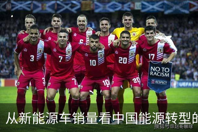 从新能源车销量看中国能源转型的世界启示