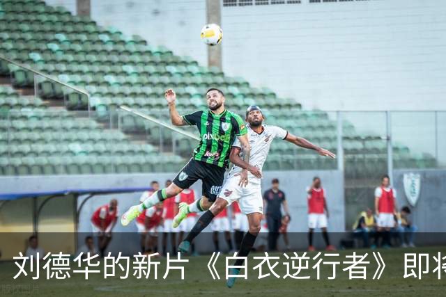 刘德华的新片《白衣逆行者》即将上映，我绝不会去看