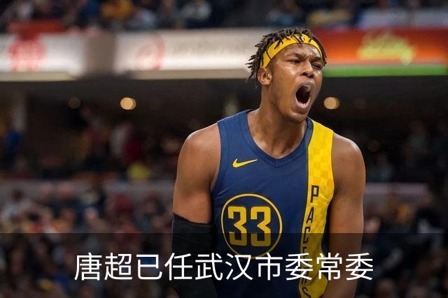 唐超已任武汉市委常委