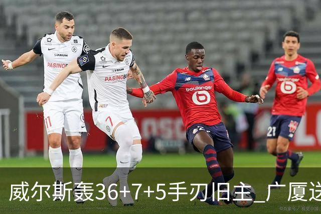 威尔斯轰36+7+5手刃旧主 广厦送辽宁赛季首败