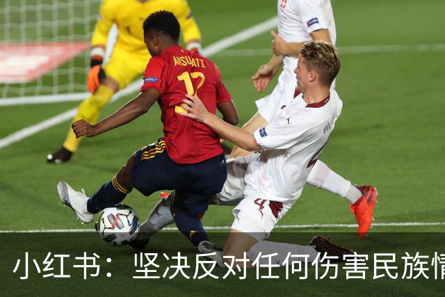 小红书：坚决反对任何伤害民族情感的行为，与姆巴佩内容合作已于2024年12月31日结束，目前正持续核查并下架相关物料