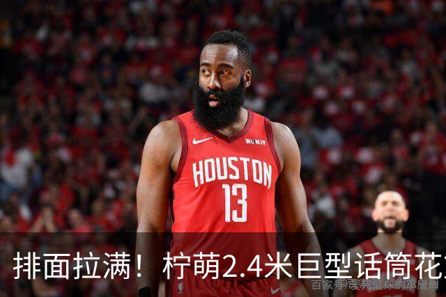 排面拉满！柠萌2.4米巨型话筒花篮，送到肖战演唱会现场