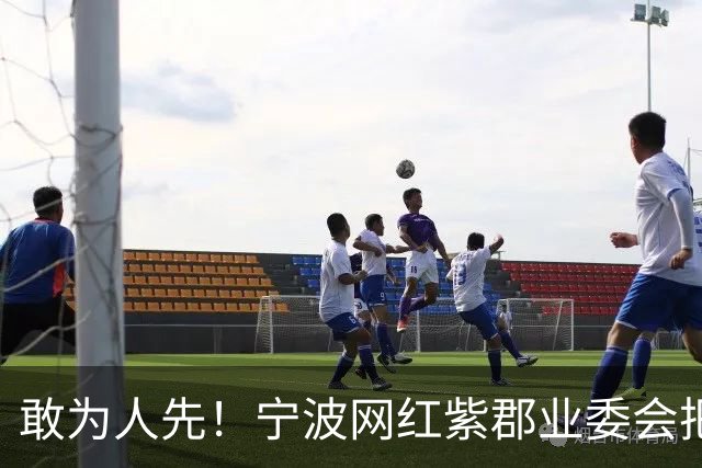敢为人先！宁波网红紫郡业委会把长期欠物业费业主给强制执行了！