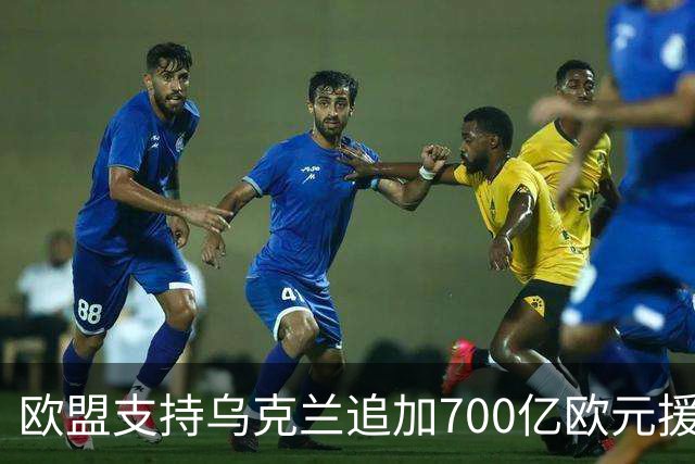 欧盟支持乌克兰追加700亿欧元援助的请求，冯德莱恩明确必须解决缺口