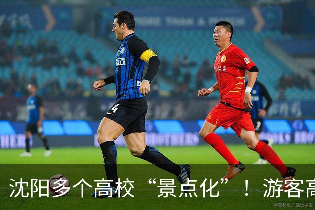 沈阳多个高校“景点化”！游客高兴，学生却懵了...