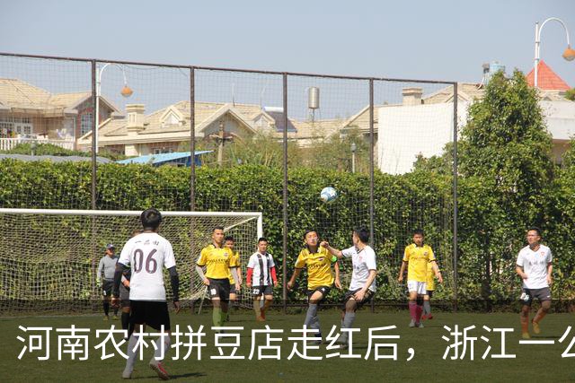 河南农村拼豆店走红后，浙江一公司免费送去442斤拼豆和自动烫画机，客服：尽绵薄之力支持店主