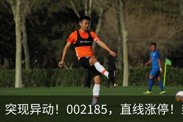 突现异动！002185，直线涨停！封单超200万手