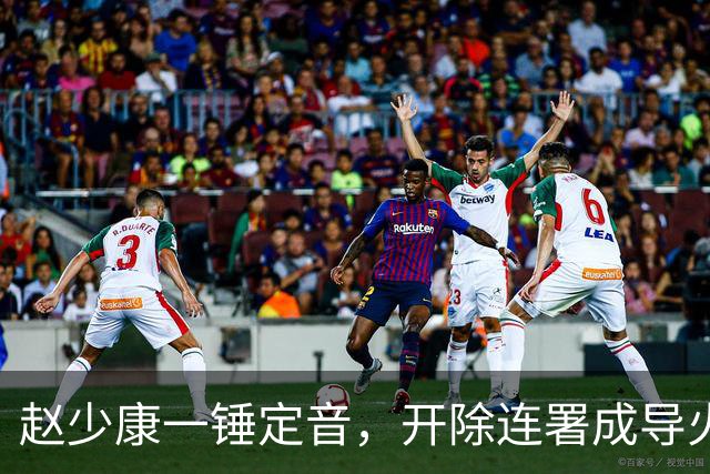 赵少康一锤定音，开除连署成导火索，郑丽文坐不住，谁在踢球？