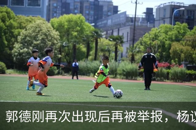 郭德刚再次出现后再被举报，杨议称永不原谅，官方给出回应正在调查