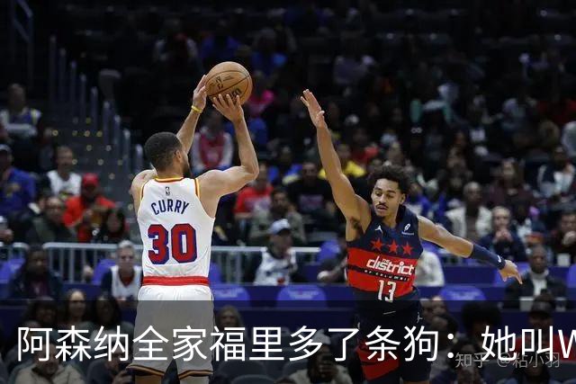 阿森纳全家福里多了条狗：她叫Win，2023年就进了训练基地