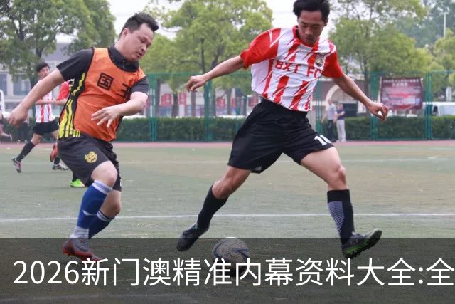2026新门澳精准内幕资料大全:全面解析与预测走势策略